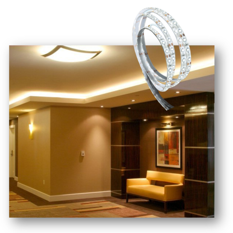 STRIP & MODULE LIGHTING